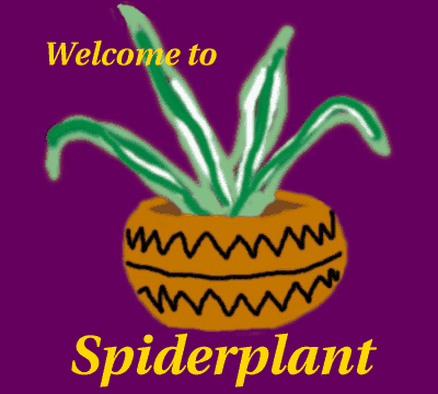 Big Welcome to Spiderplant Picture